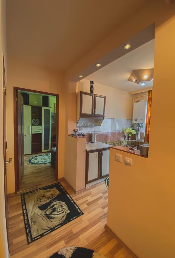 Apartament Cristian Джоаджу-Бэй Экстерьер фото