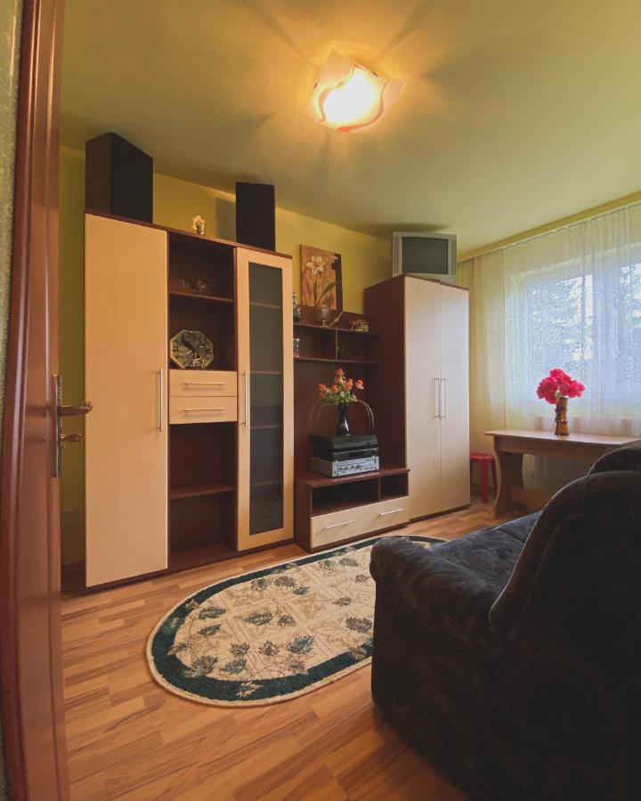 Apartament Cristian Джоаджу-Бэй Экстерьер фото